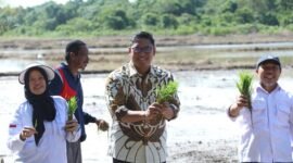 Wakil Menteri Pertanian (Wamentan), Sudaryono Mendorong BUMN Pangan Jadi Pusat Benih Terbesar di Indonesia. (Dok. Kementan)